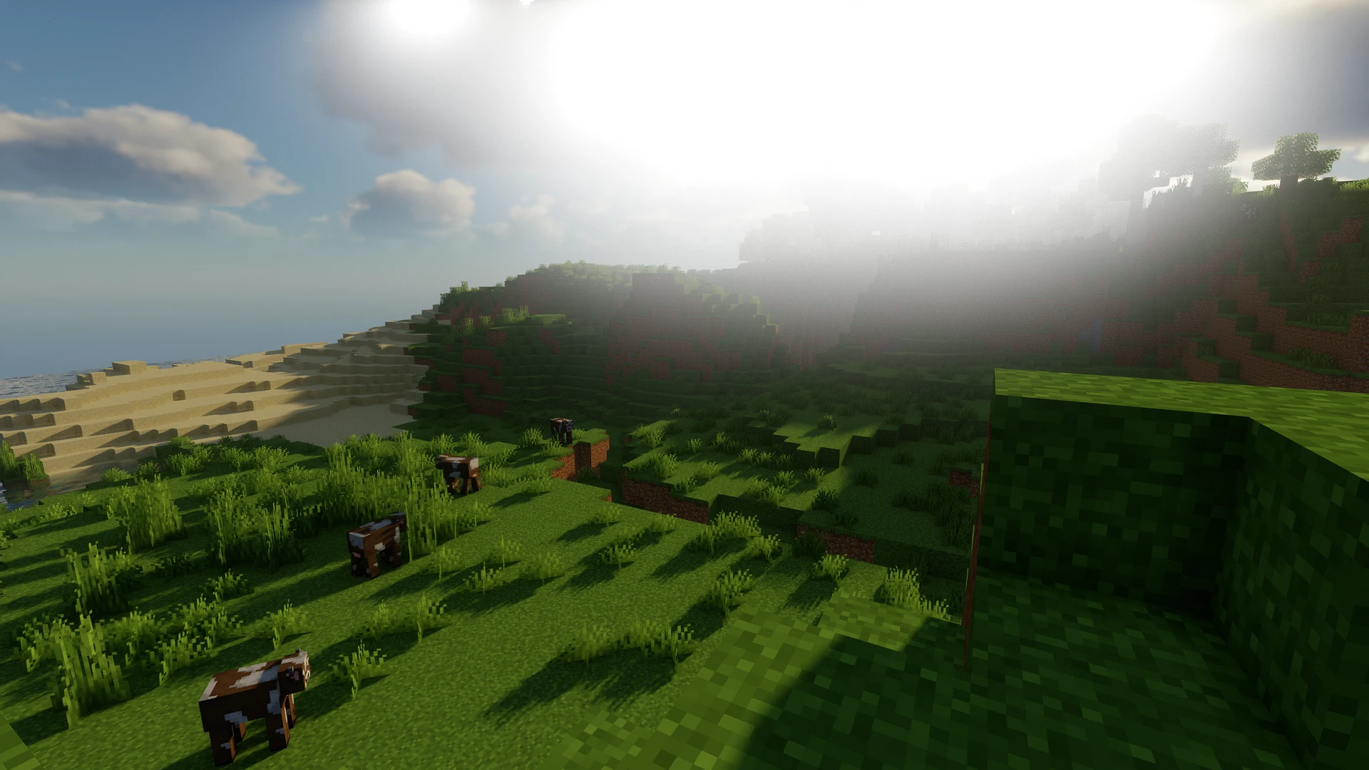 Minecraft-Chocapic-Shaders-4