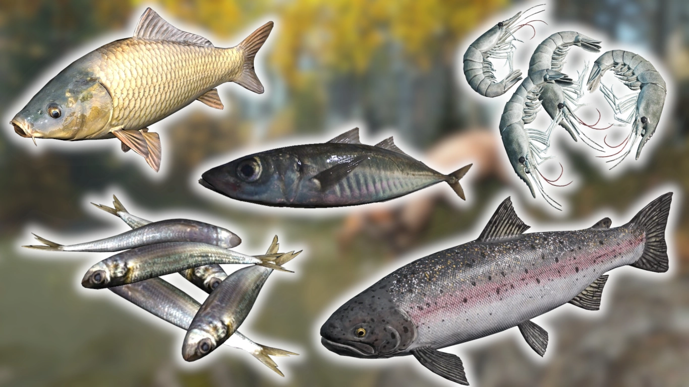 DayZ fish and sea creatures: freshwater and saltwater