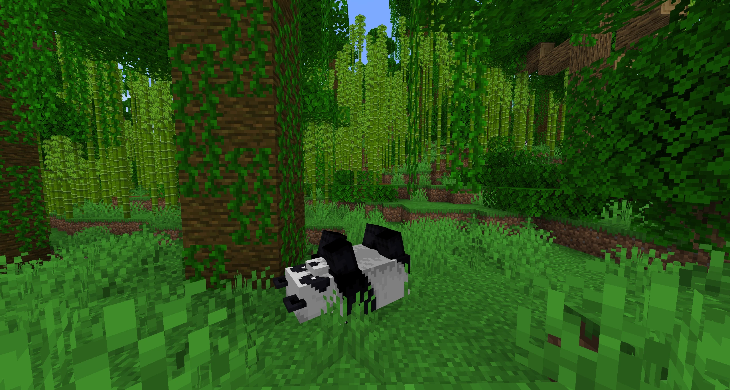Minecraft Automatic Bamboo Farm 4