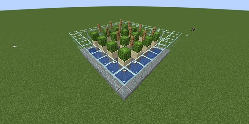 How to Build an Automatic Cactus Farm: Green Resources at the Push of a Button