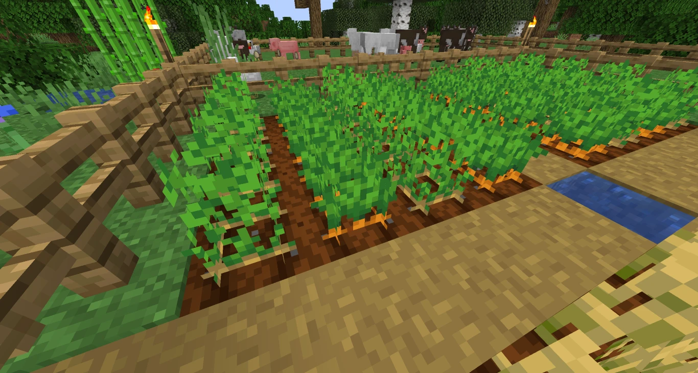 Minecraft Automatic Potato and Carrot Farm 1
