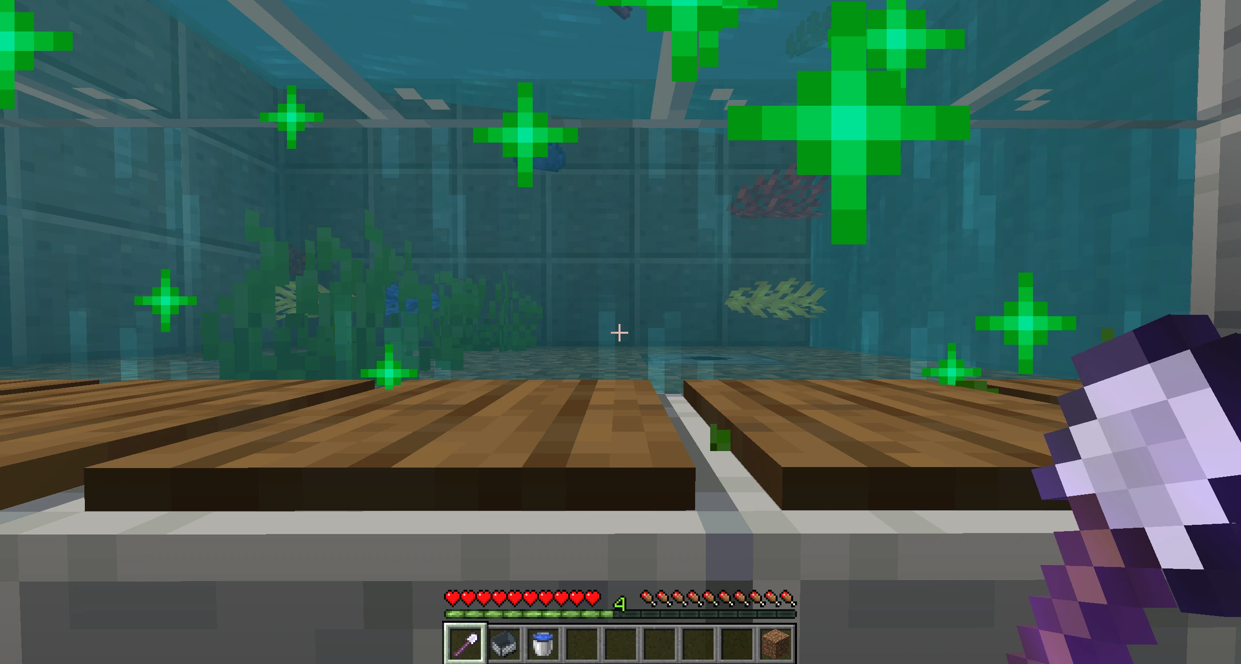Minecraft Automatic Coral Farm 10