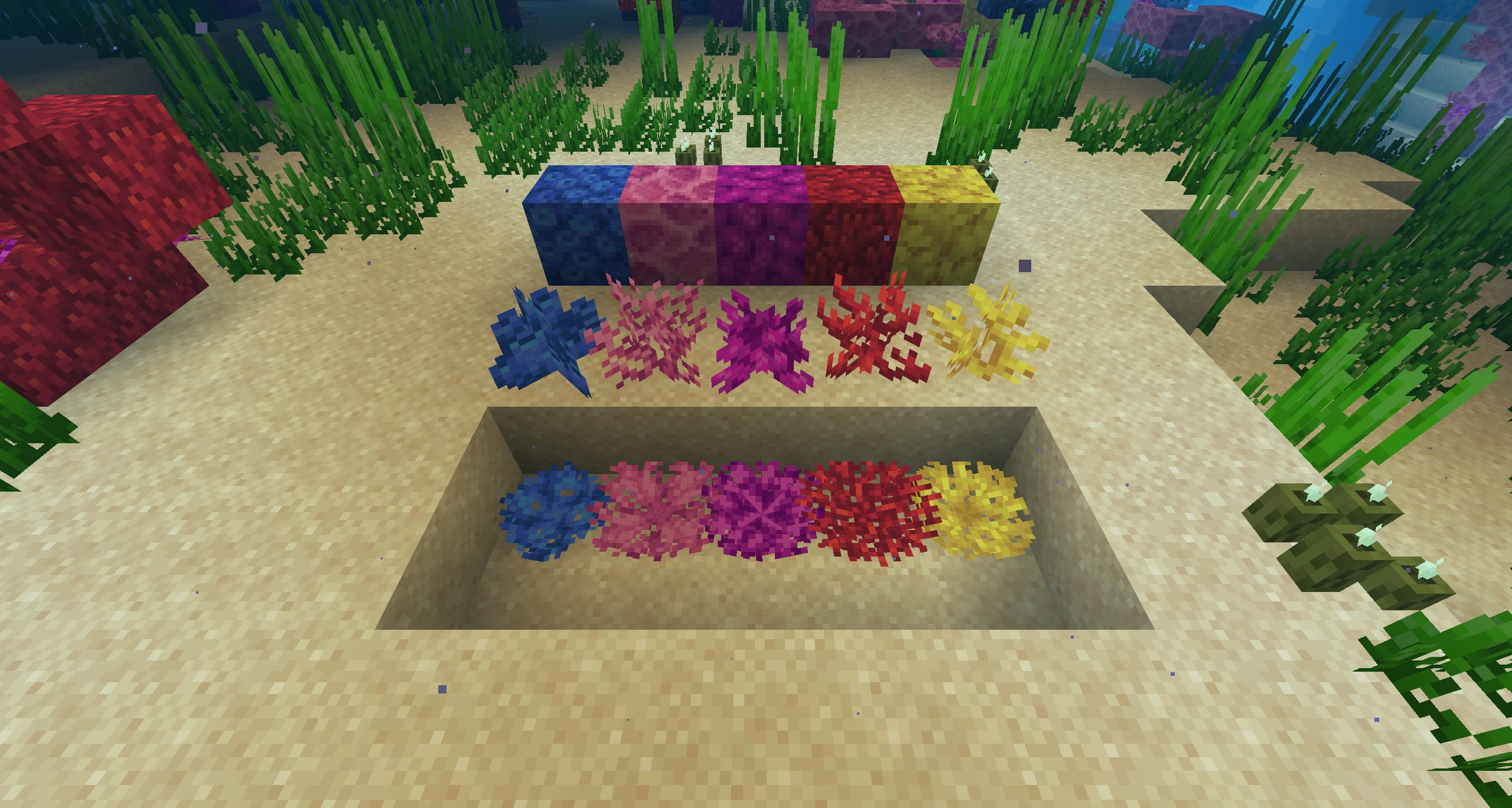 Minecraft Automatic Coral Farm 2