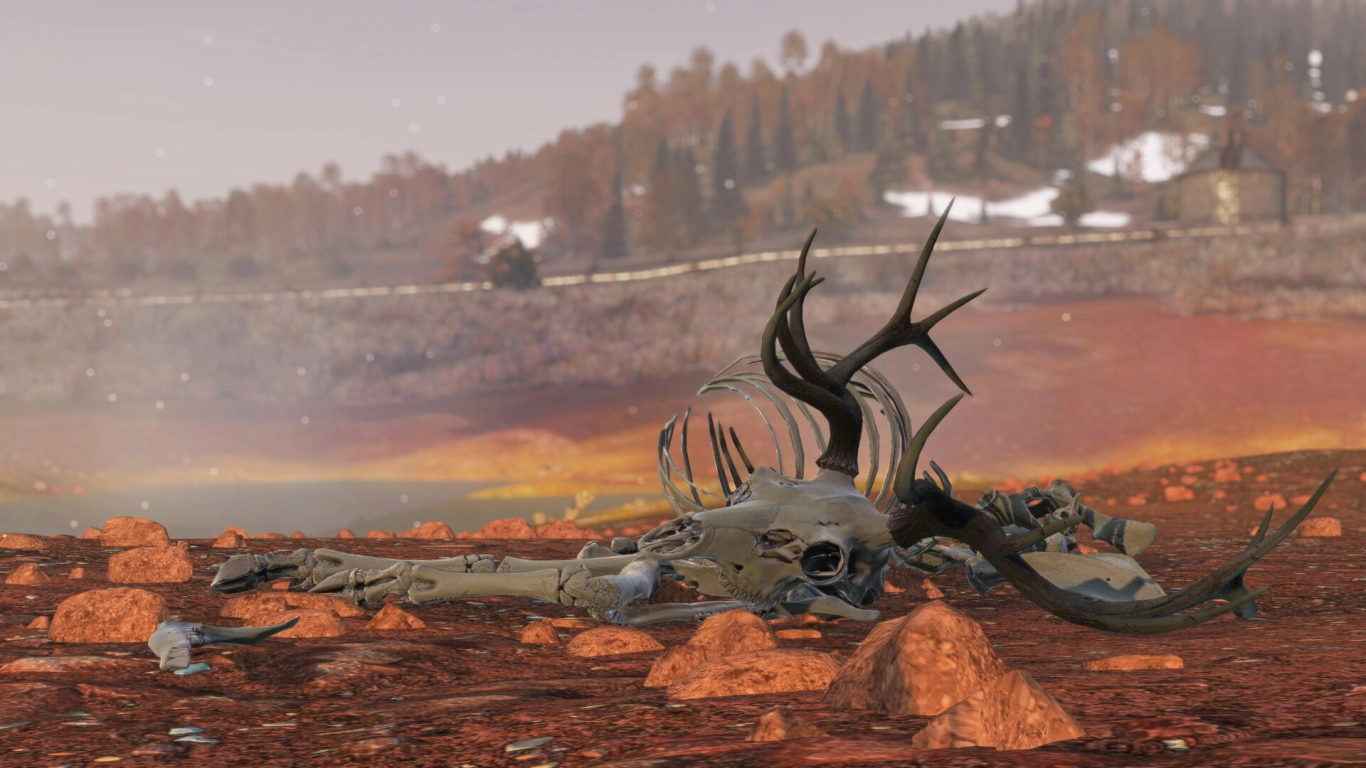 Snow Landscape and Hot Springs