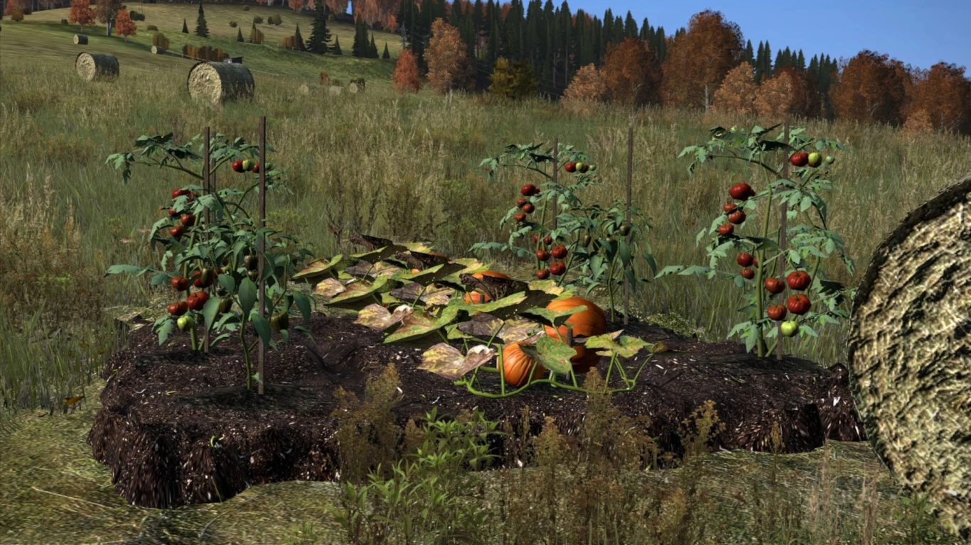 Gardening guide in DayZ