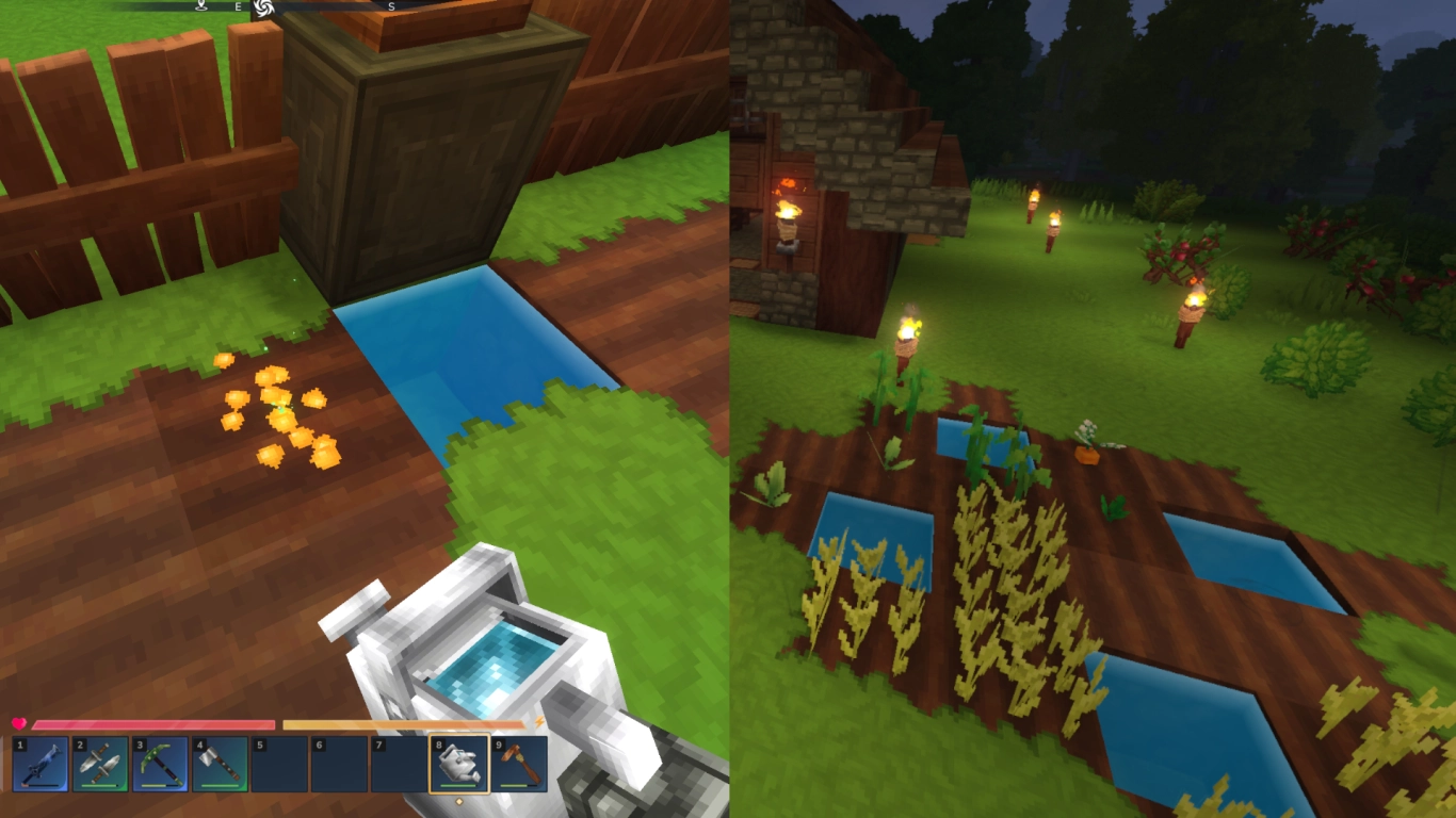 Irrigated soil and water holes on a Hytale field