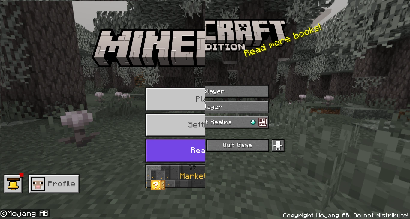 Minecraft Java or Bedrock Version 2