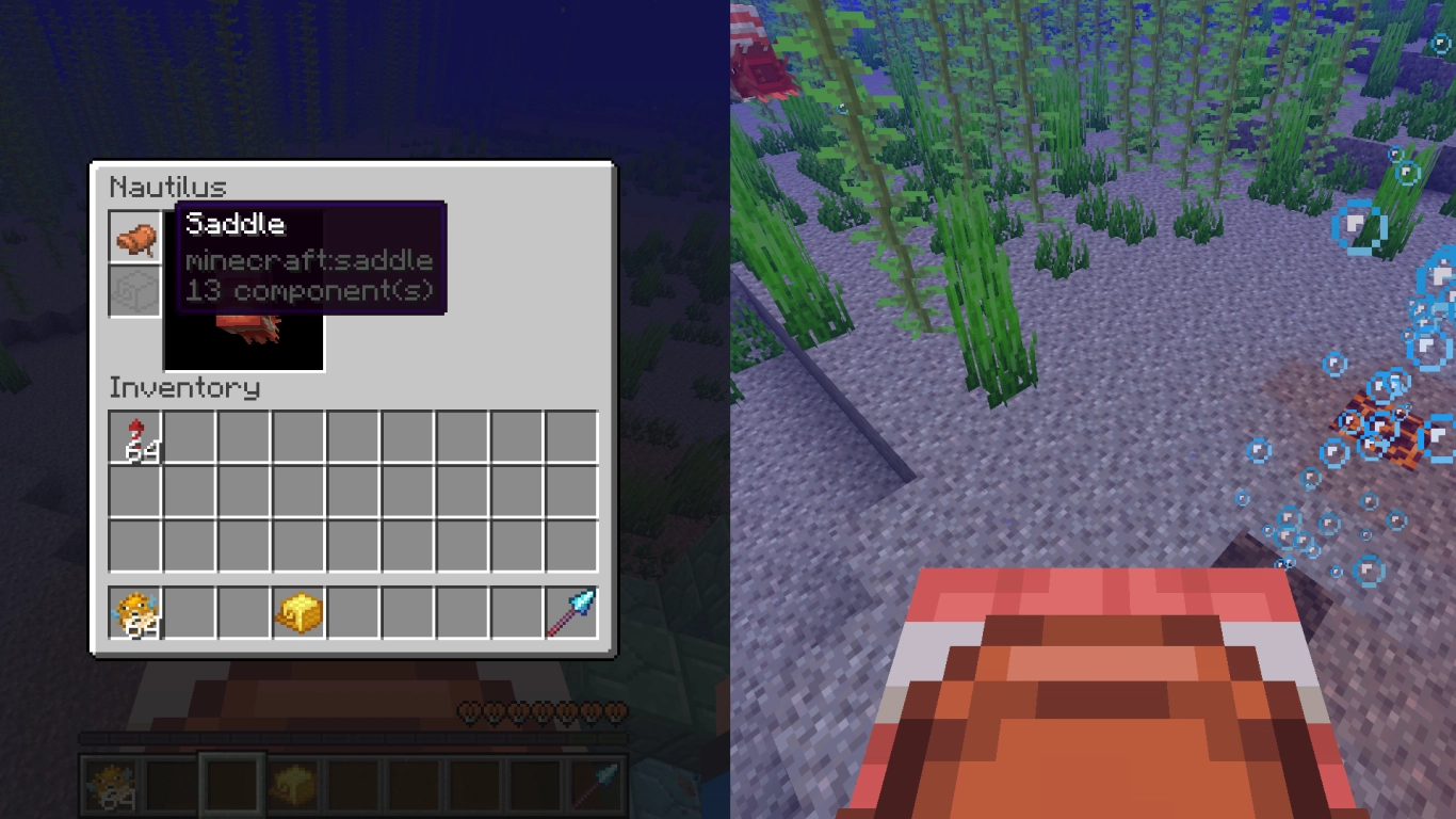 Nautilus as a mount underwater