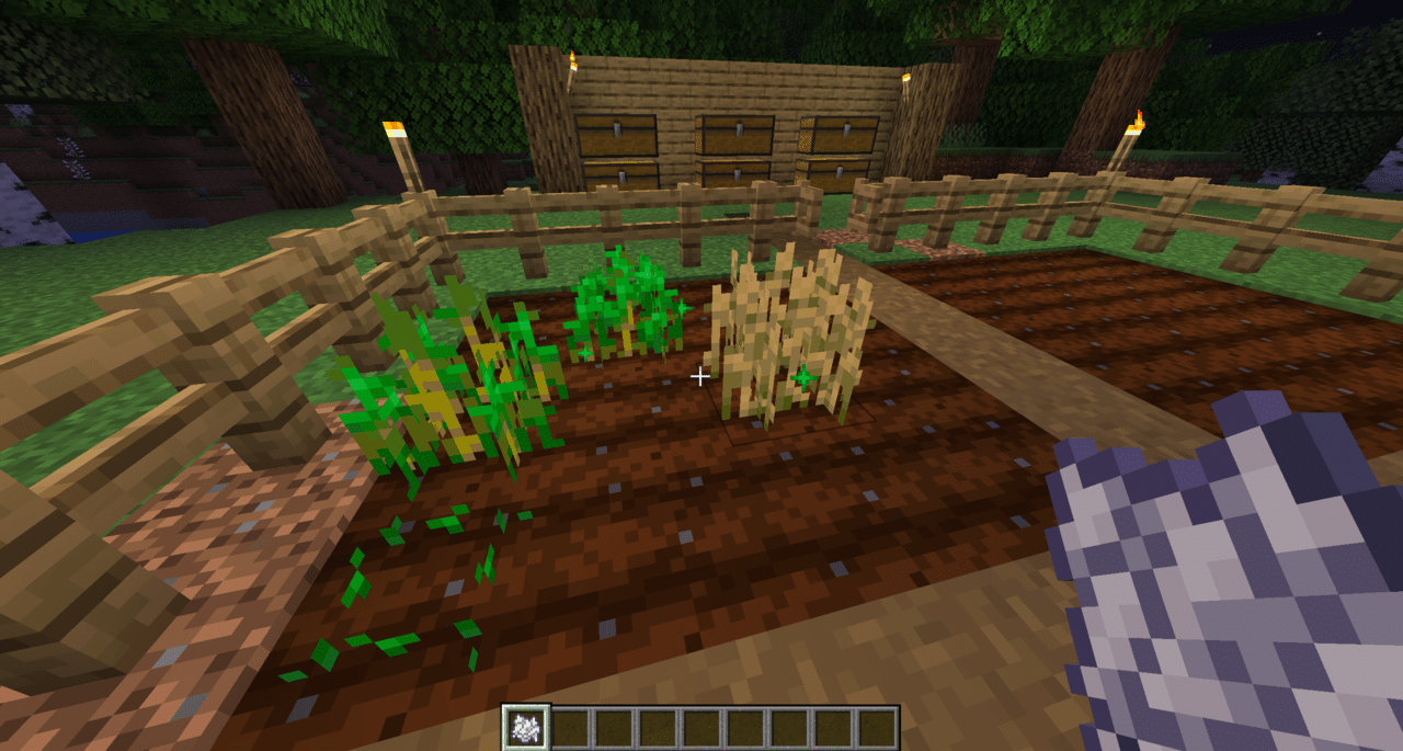 Minecraft Field Grow